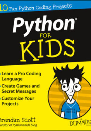 Python for kids for dummies Ebook